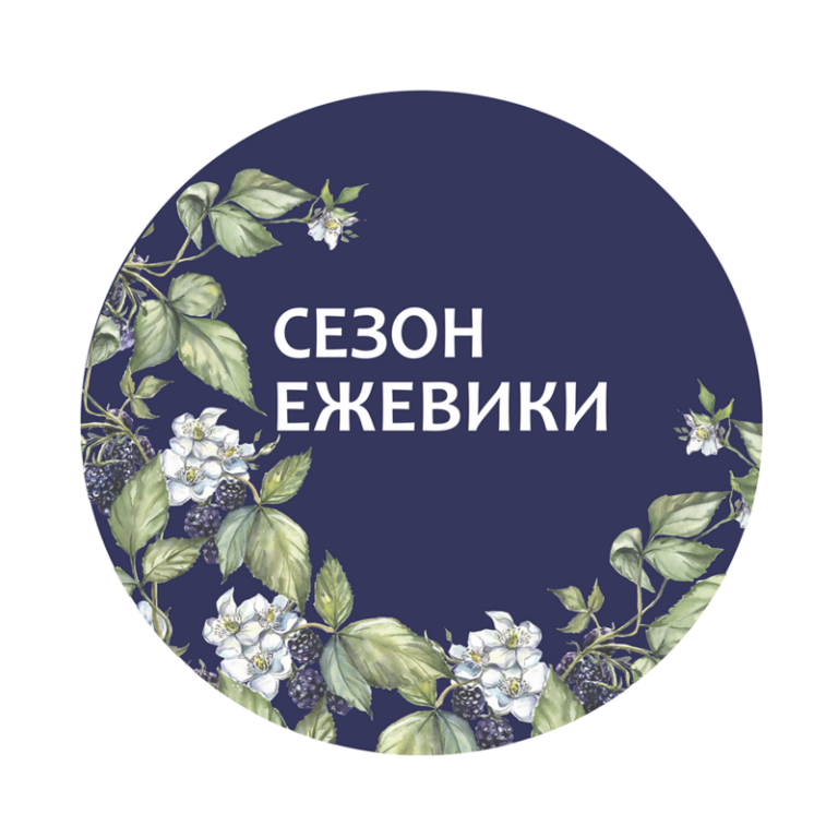 8.png